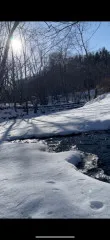 冬の川が好き?
