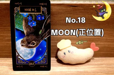 ｜透也｜今週の運勢：MOON(月の逆位置)