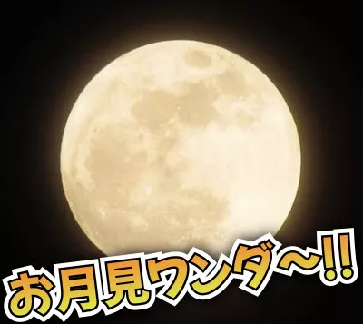 ハッピーワンダ〜W(`0`)W 今夜はふたご座満月です！！