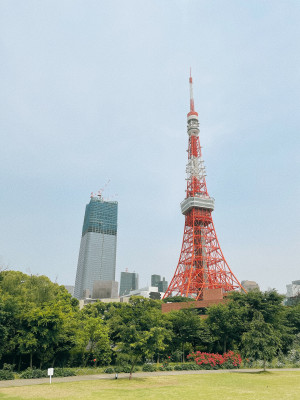 ｜TSUBASA｜東京タワー