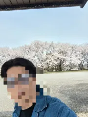 桜?