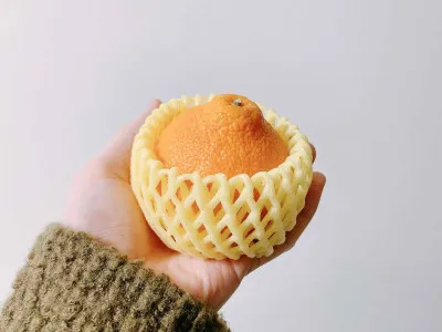 柑橘系ナンバーワン
