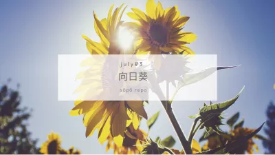 ｜Haru｜向日葵