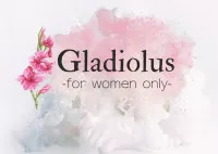 お店(Gladiolus)