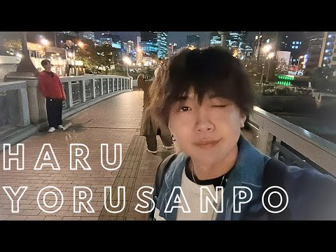   0:37 / 16:14   遥の夜散歩vlog part 2【秋の夜光に包まれ中之島】